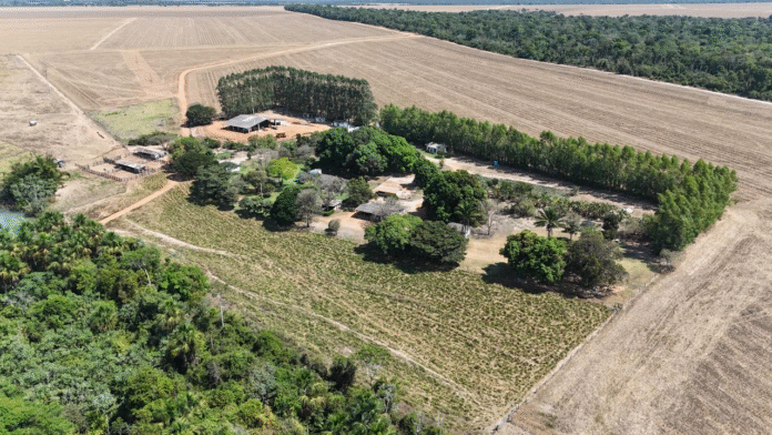 imagem_2025-10-28_110036973