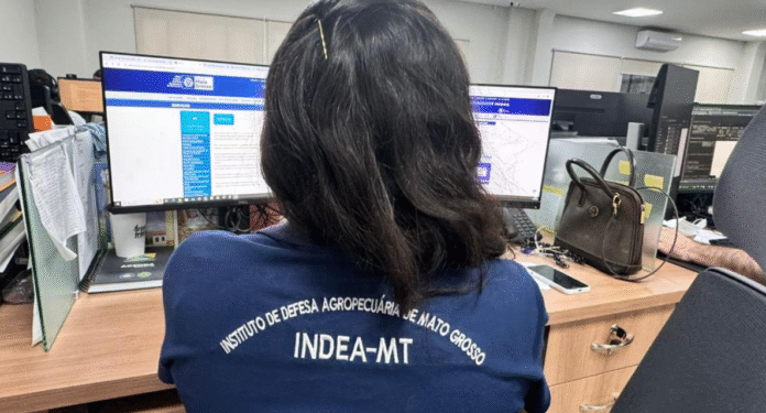 imagem_2025-10-29_105143723