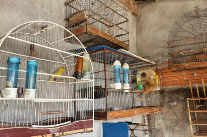 imagem_2025-10-29_151431840